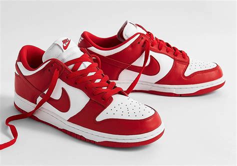 nike dunk low damen bunt|nike dunks for sale.